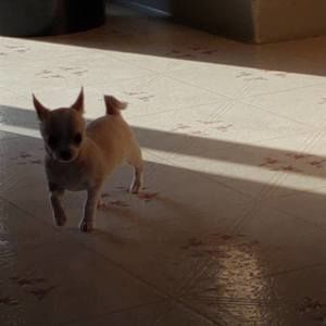 Meet your Posher, Suzanne